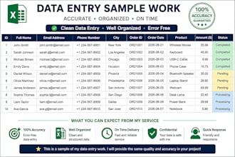 provide accurate data entry and typing services
