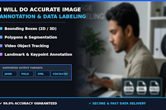 do accurate image annotation and data labeling for ai models