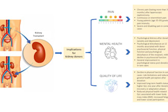 create scientific illustrations, and graphical abstracts