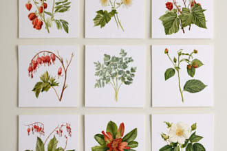 draw detailed botanical line art and floral illustrations