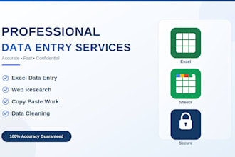 do professional excel data entry, web research and copy paste work