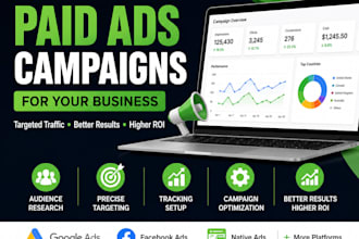 set up and optimize paid ads campaigns for your business