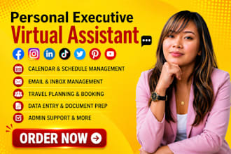 ghl virtual assistant executive virtual assistant carousel insta reel data entry