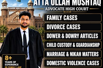 provide family law consultation and legal services