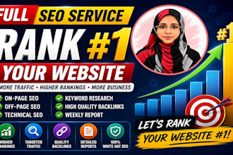 provide full SEO service to rank your website higher on google