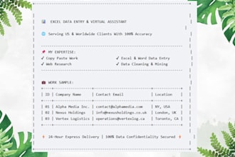do professional data entry and copy paste work
