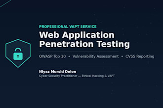 perform web application penetration testing and vapt report
