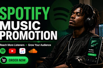 do spotify playlist pitching and music promotion for artists