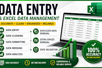 data entry,data cleaning,pdf to excle and data analysis