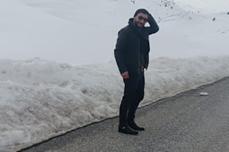 translate between kurdish, turkish, german, english