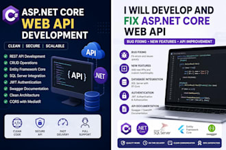 develop and fix asp net core web api