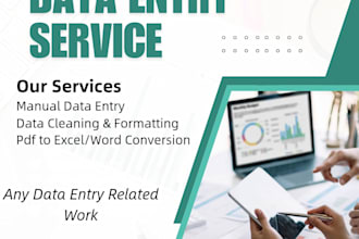 do data entry, data cleaning and PDF conversion