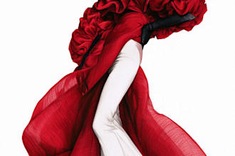 draw a fashion illustration or sketch