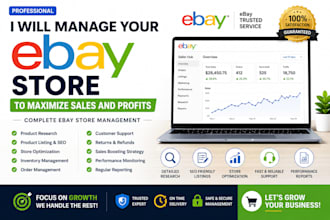 manage your ebay store to maximize sales and profits