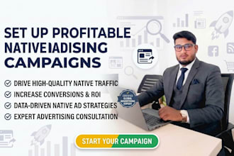 set up profitable native advertising campaigns
