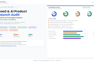 audit your saas or digital product before launch