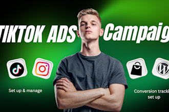 audit, setup, manage and optimize your tiktok ad campaign