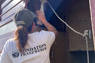 create your veterinary protocol or animal transfer documentation