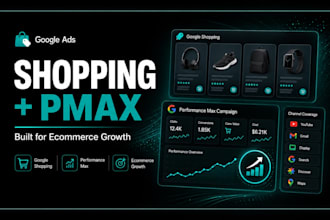 set up google shopping and pmax campaigns