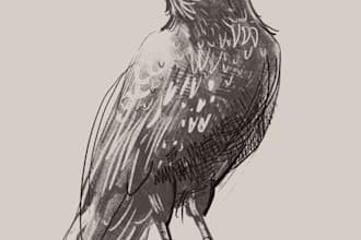 draw an illustration of an animal, creature or character