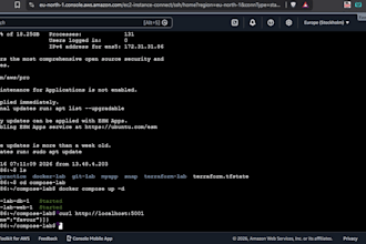 deploy your application using docker or docker compose