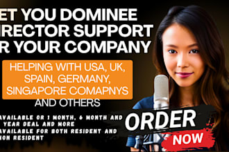 be your nominee director in USA UK germany spain nominee shareholder support