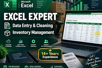 do professional excel data entry, data cleaning, and inventory setup