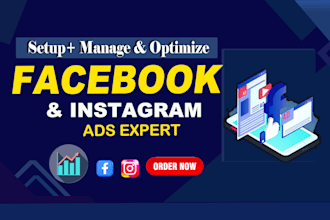 be your facebook and instagram ads expert, meta ads pro