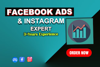 be your facebook and instagram ads expert, meta ads pro