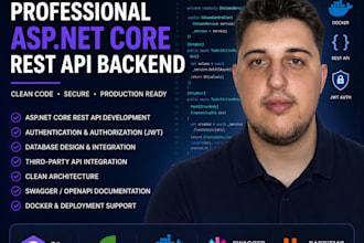 build a professional asp net core rest API backend
