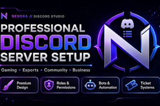 create and setup a professional custom discord server