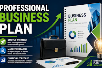 create a professional business plan