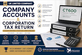prepare and file UK company accounts and corporation tax return