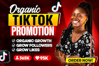 audit, grow, and promote your tiktok account organically