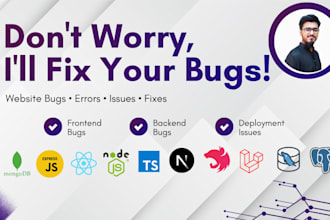 fix bugs and errors in react nextjs node websites