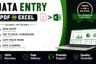 do data entry PDF to excel data cleaning and web research