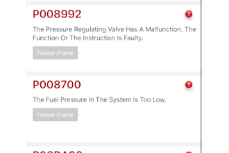 provide professional automotive diagnostic consultation