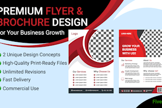 design a professional flyer, brochure and company profile