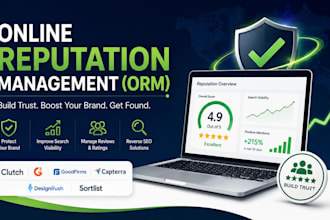 provide online reputation management ORM and reverse SEO