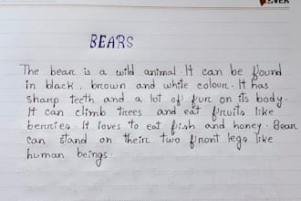 provide professional customized  handwriting services for you
