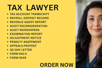 be your ny,ca,florida,georgia tax lawyer for irs audits and payroll tax disputes