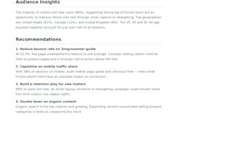create a professional website analytics report and analysis
