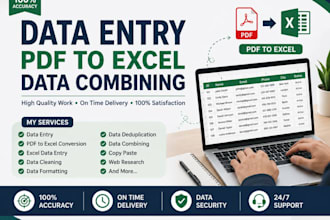 do data entry, PDF to excel conversion and data combining