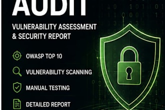 perform a basic website security audit