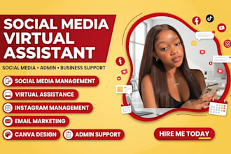 executive virtual assistant insta reels social media manager data entry