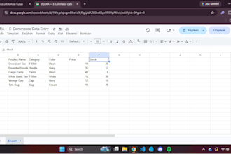 do accurate data entry, data cleaning, excel and google sheets