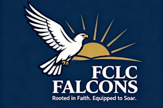 create high quality and beautiful falcon logo design
