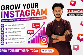 provide instagram growth and organic followers
