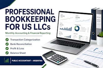 do professional monthly bookkeeping for your US llc