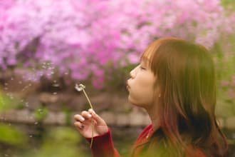 photograph your pre wedding, graduation, personal portraits
